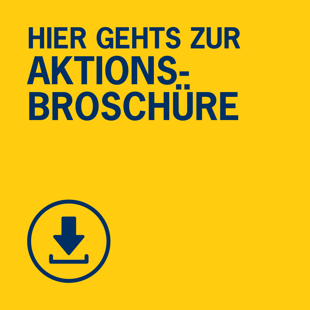 Aktionsflyer